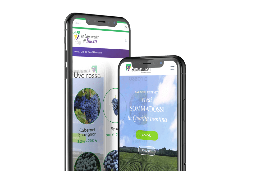 Case-history-Vivai-Sommadossi Vivai Sommadossi